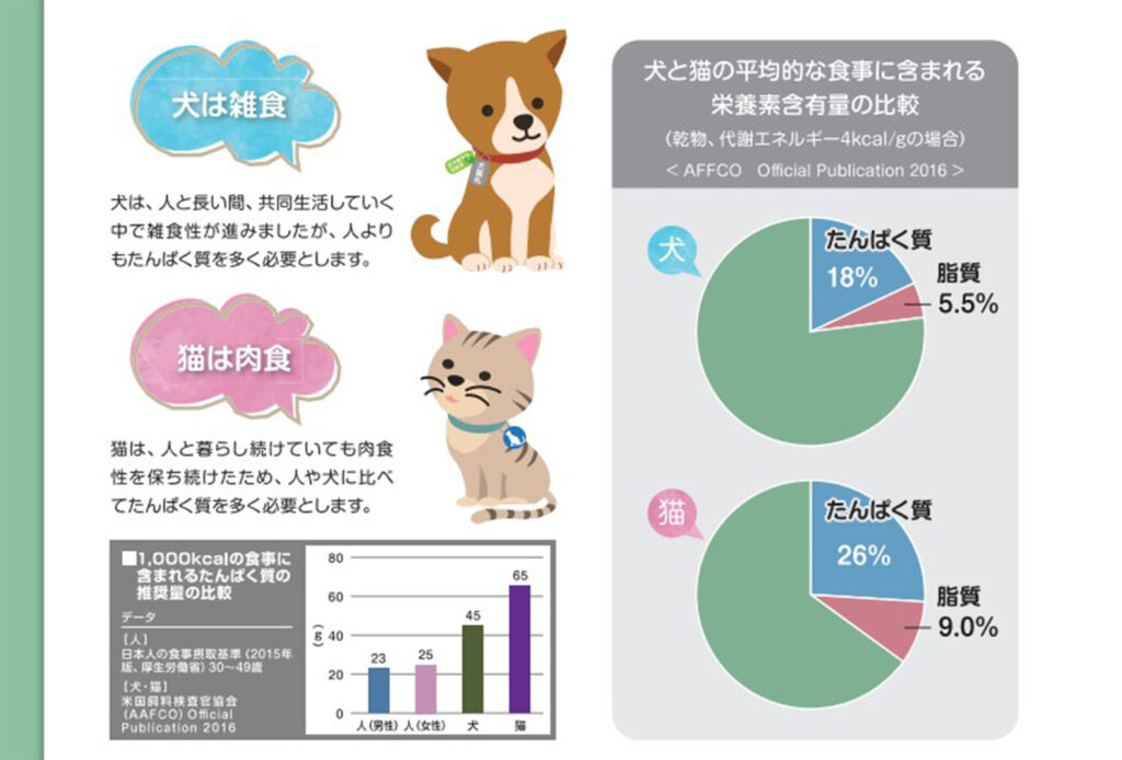 環境省　たんぱく質量