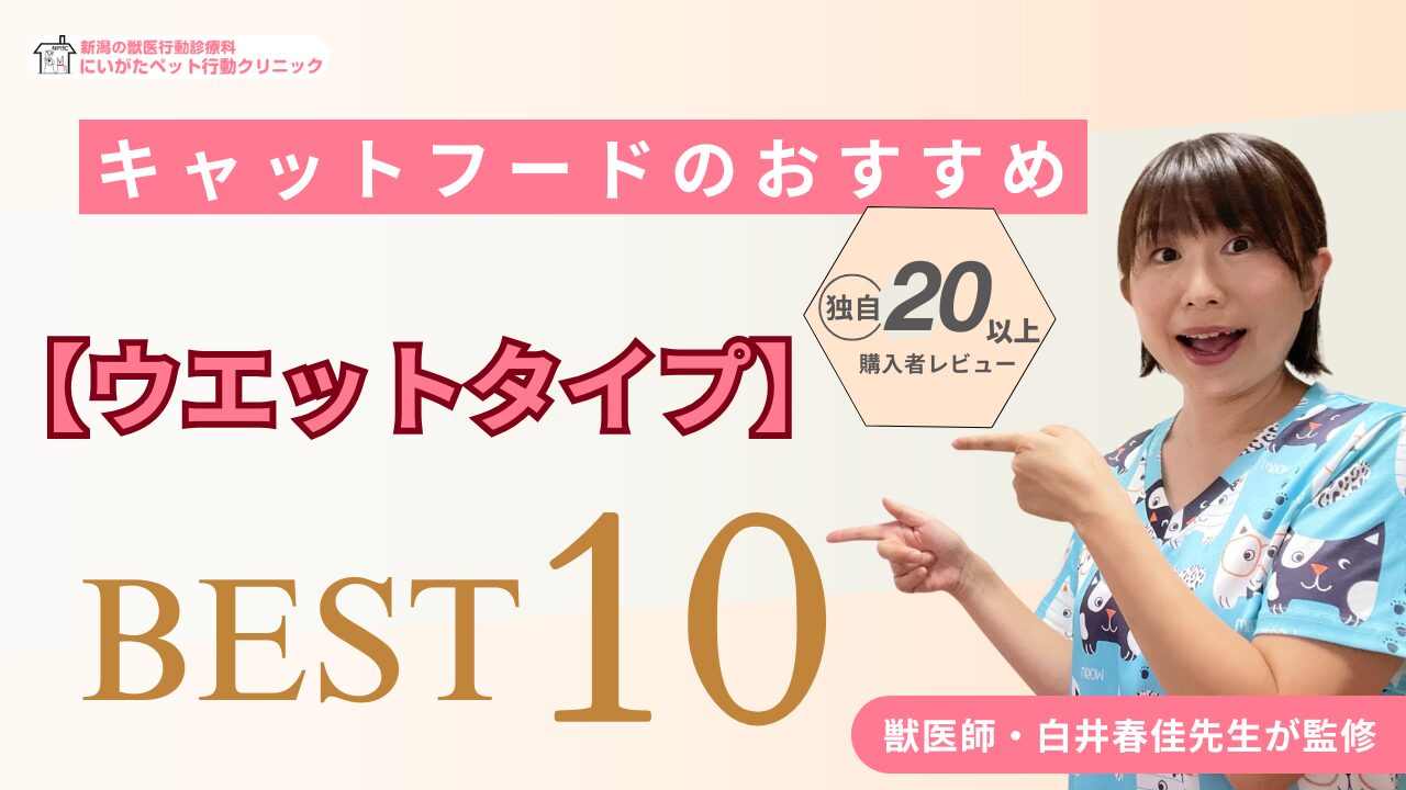 ウェットタイプのキャットフード おすすめ紹介
