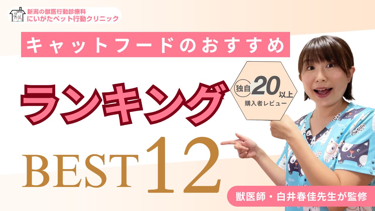 キャットフード おすすめ