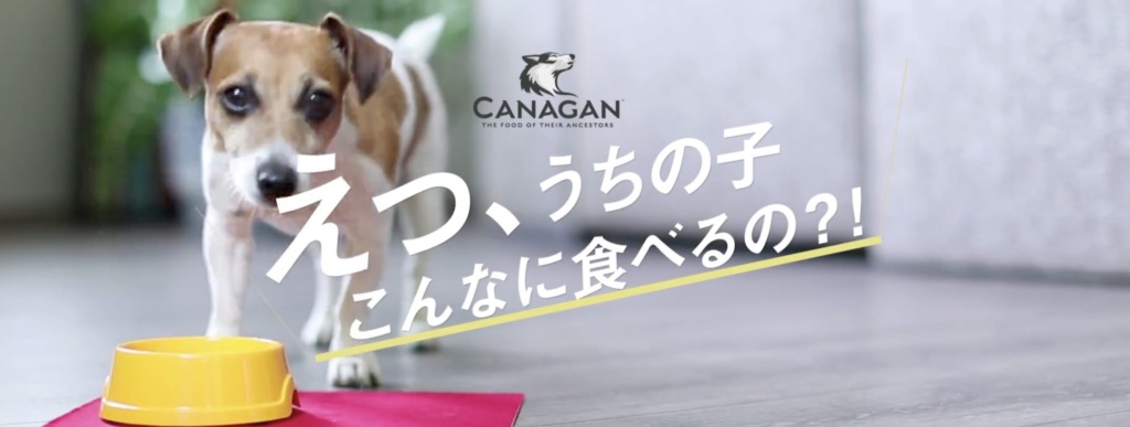 カナガン