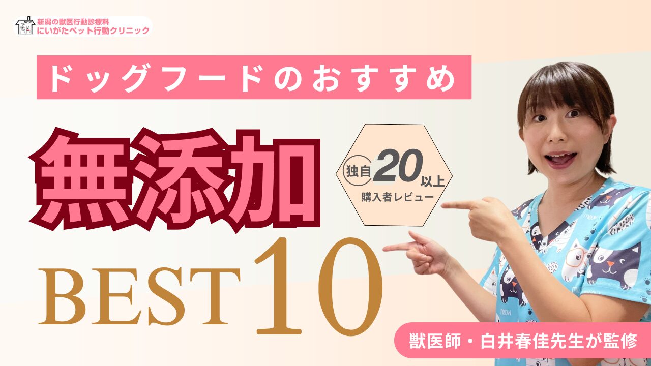 ドッグフードの無添加おすすめランキング10選！口コミ評判が良い食事を獣医師が解説！ ドッグフードのトリセツ-獣医師・白井春佳先生が監修-