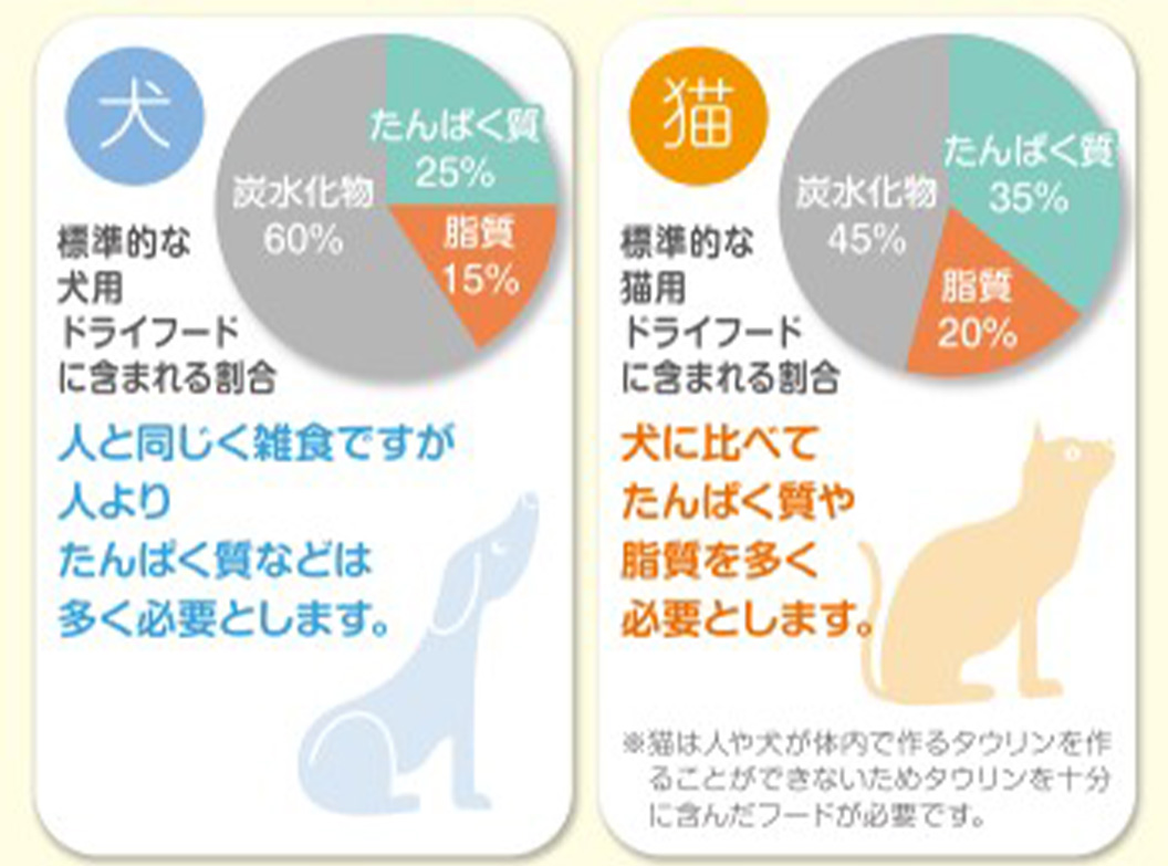 犬に必要なたんぱく質量