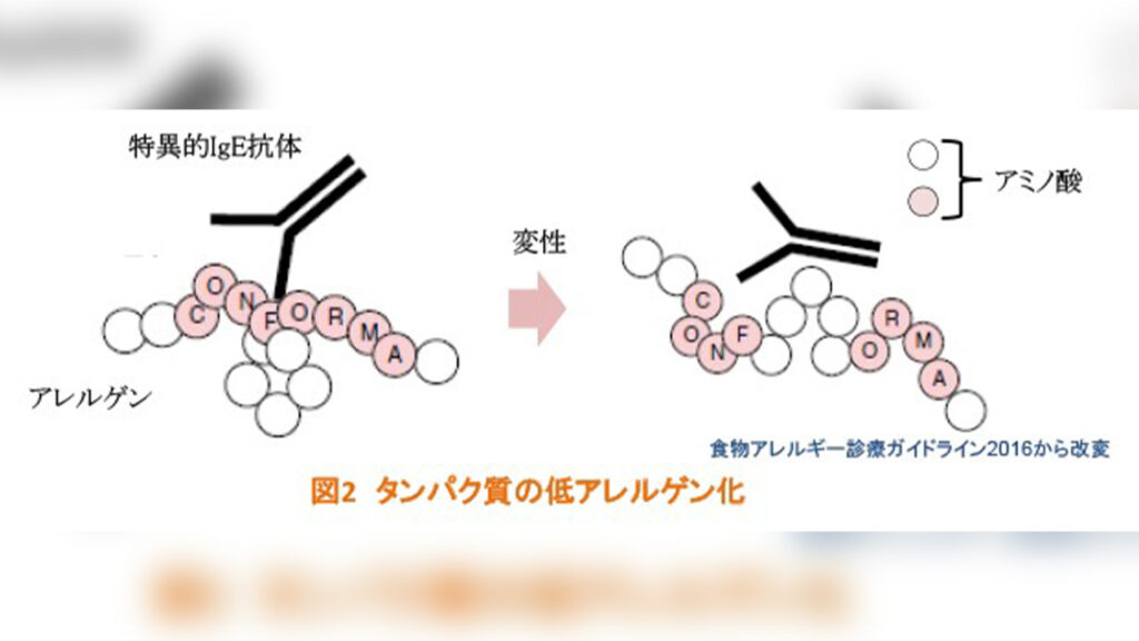 食物アレルギーの仕組み