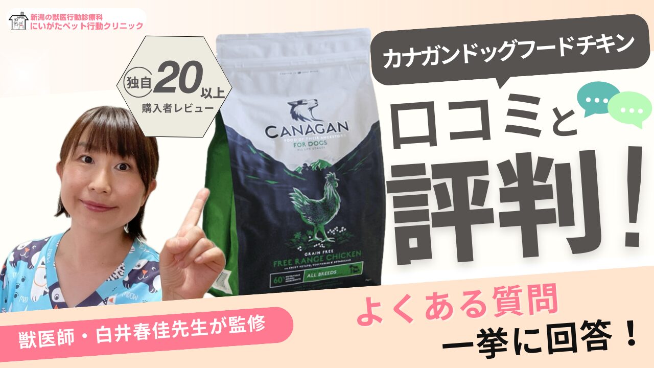 カナガンドッグフード チキン 口コミ