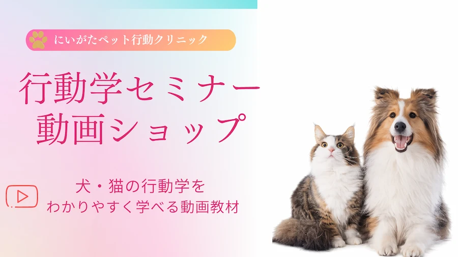犬・猫の行動学をわかりやすく学べる動画教材