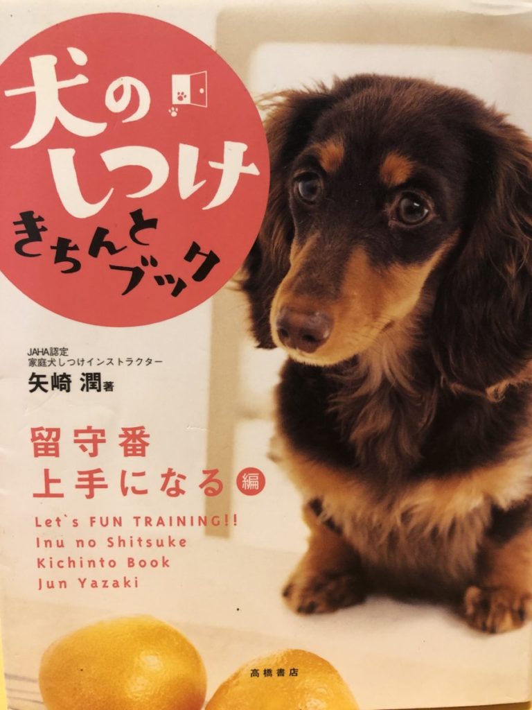 動物看護師向け カテゴリー にいがたペット行動クリニック 新潟の獣医行動診療科 公式hp