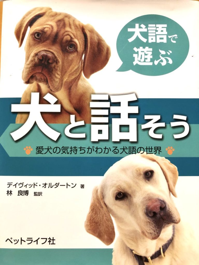 飼い主向け カテゴリー にいがたペット行動クリニック 新潟の獣医行動診療科 公式hp