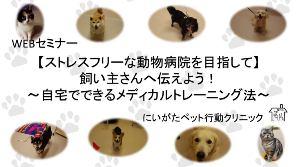 獣医行動診療科専門病院が伝えたい 【ストレスフリーな動物病院を 
