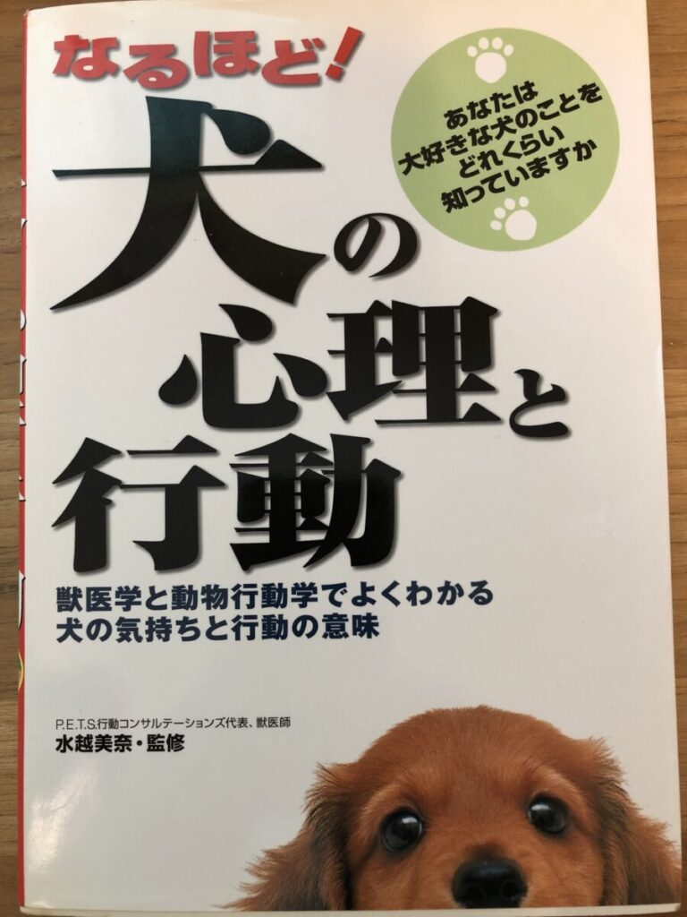 犬 カテゴリー にいがたペット行動クリニック 新潟の獣医行動診療科 公式hp