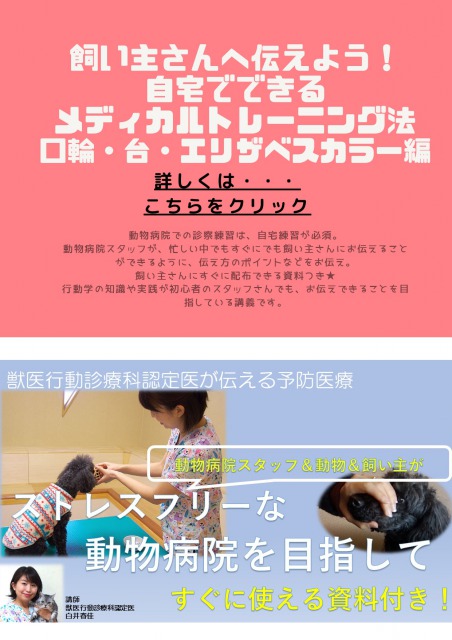 にいがたペット行動クリニック 新潟の獣医行動診療科 公式hp