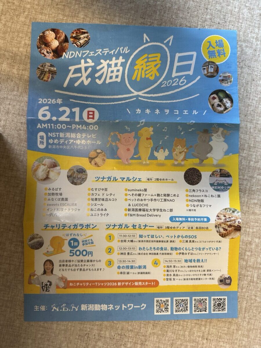 イベント情報】戌猫縁日開催のお知らせ🐾 | にいがたペット行動